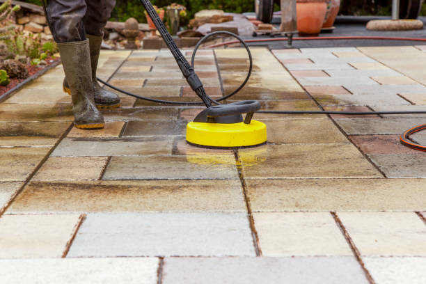Best Gutter Cleaning  in Humble, TX