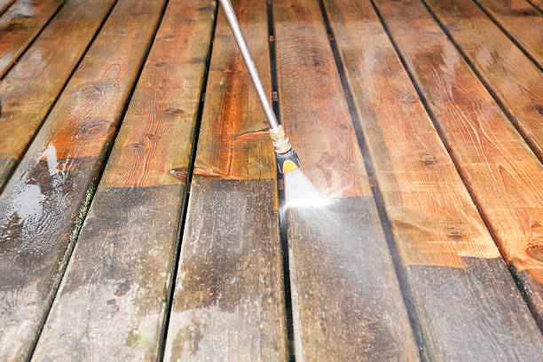 Animal Enclosure Cleaning in Humble, TX